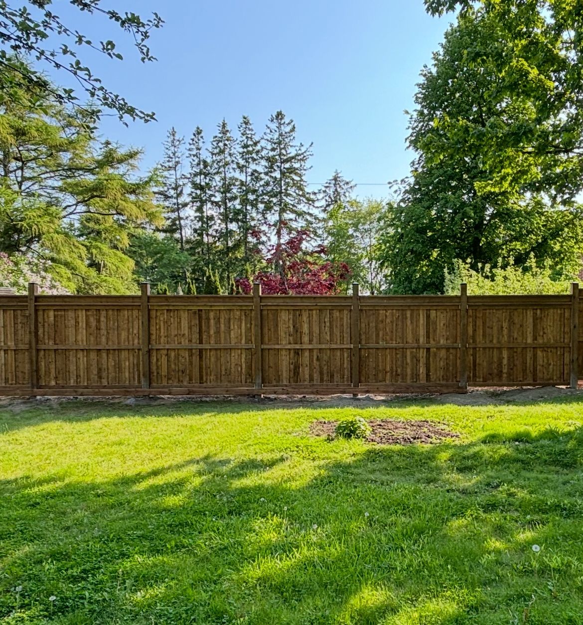 New Fence Construction 